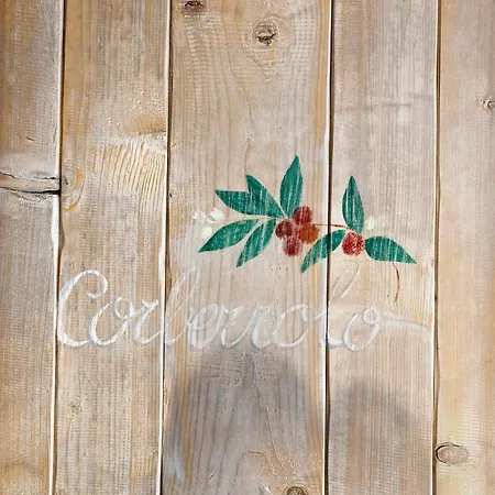 Casa Virginia - Corbezzolo